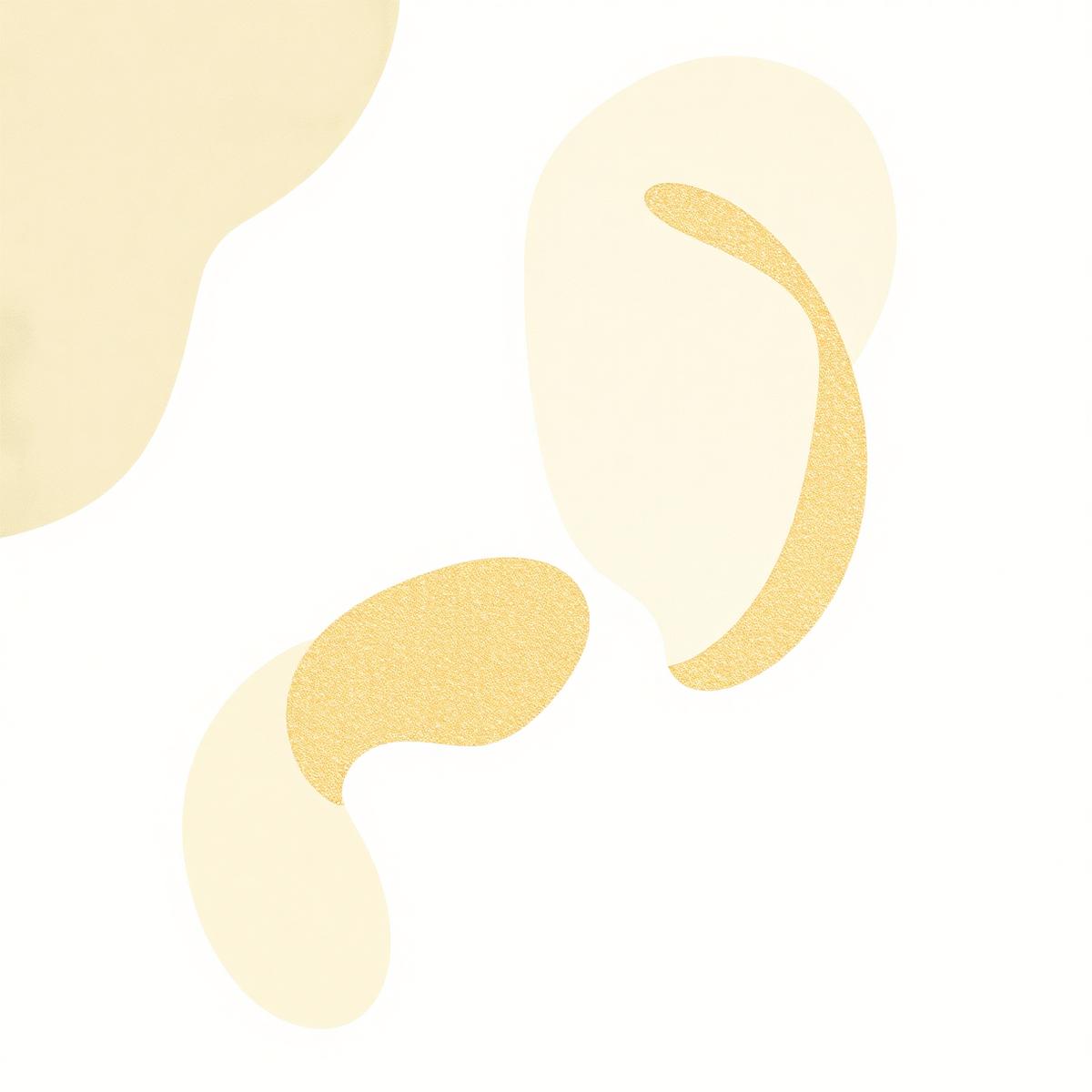 Olive branch on limewashed Mediterranean wall